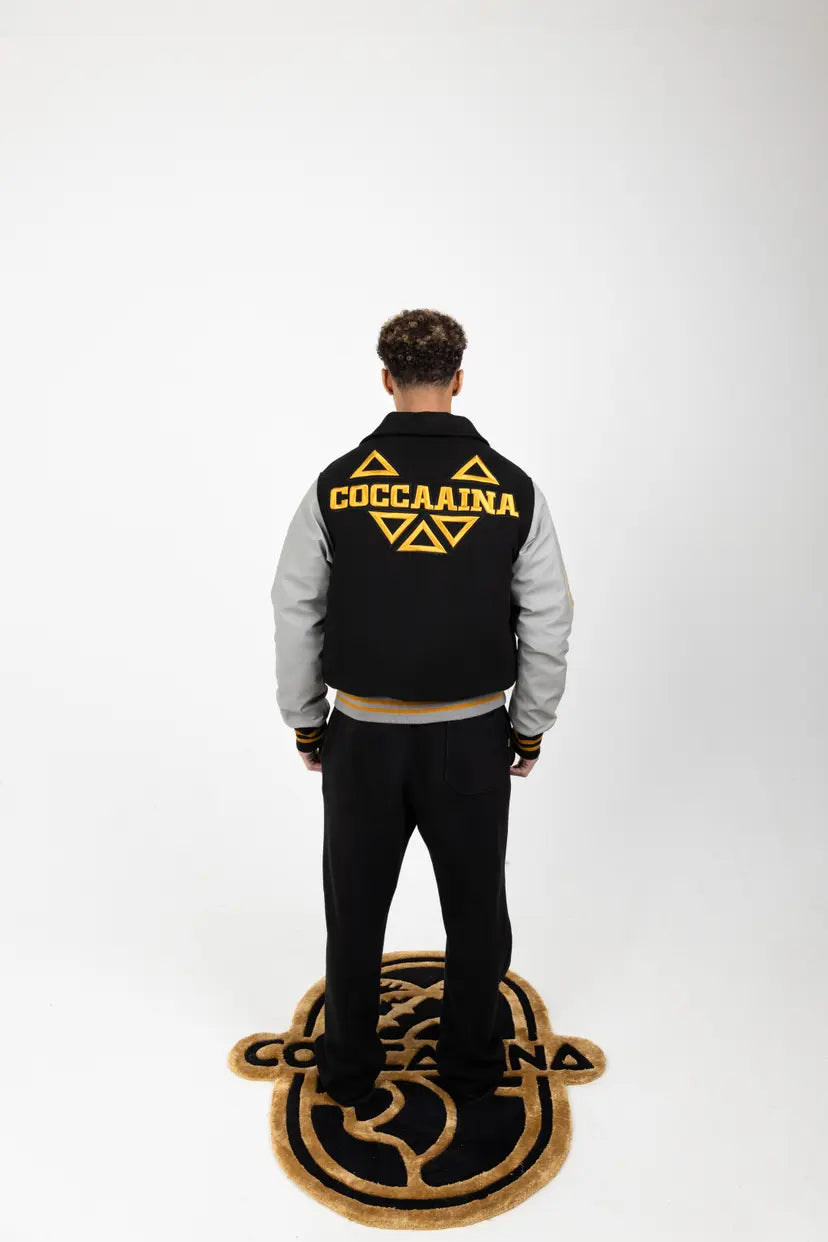 Signature Triangle Logo Leather Varsity Jacket